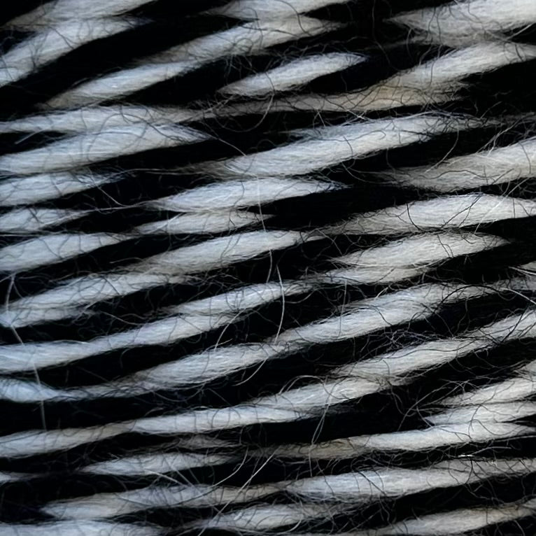 PANE Wool
