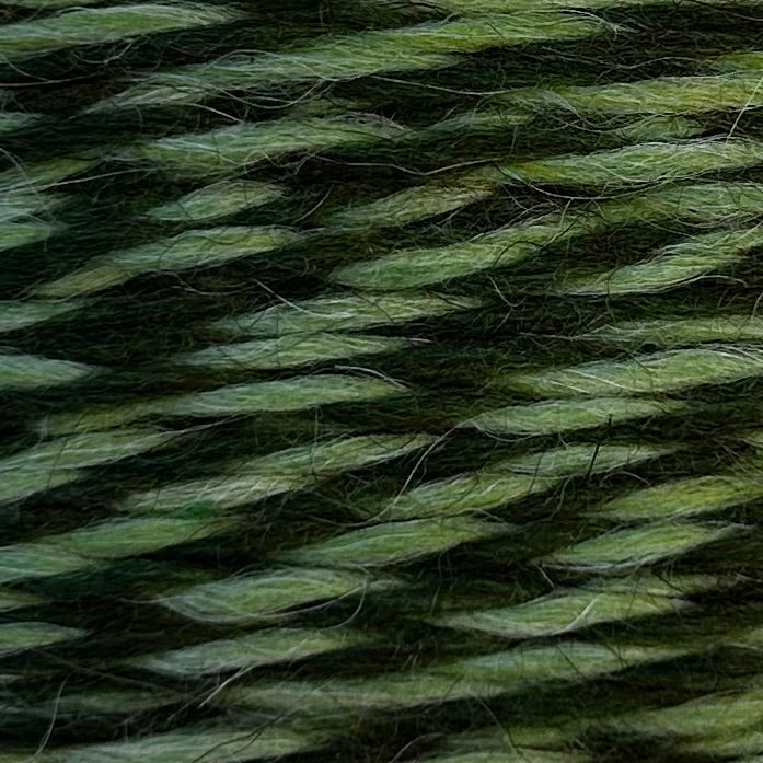 PANE Wool